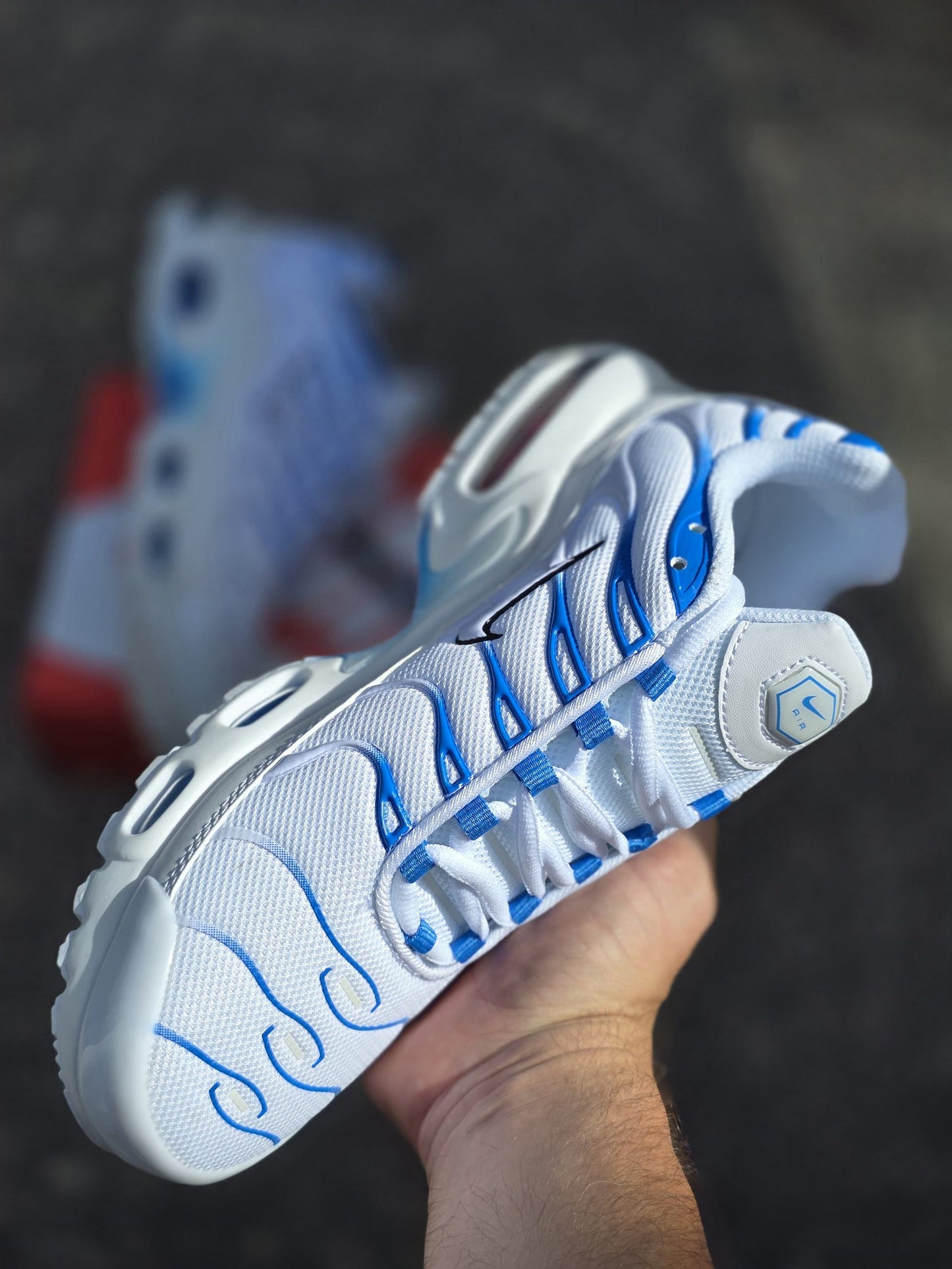 Nike TN Blanco Lineas Azules