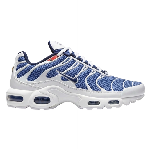 Nike TN Azul Con Blanco